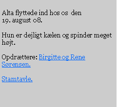 Text Box: Alta flyttede ind hos os  den 19. august 08.Hun er dejligt klen og spinder meget hjt.Opdrttere: Birgitte og Rene Srensen.Stamtavle.